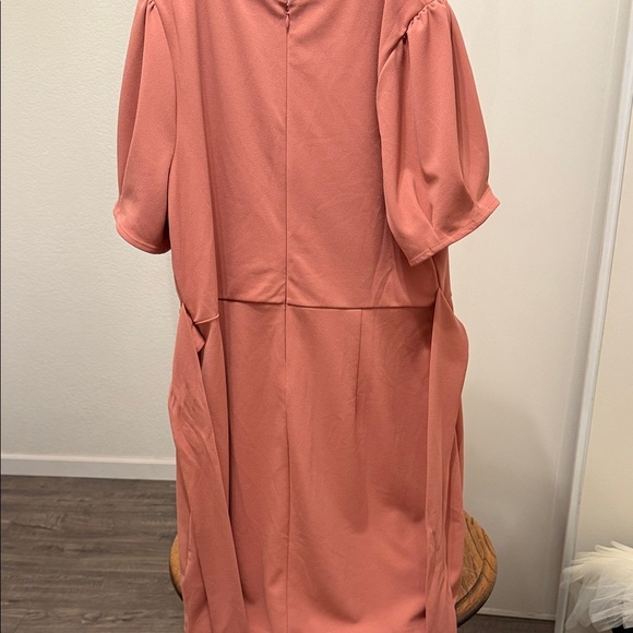 Express Women's Rose V Neck  Dress Size XL - Picture 4 of 12